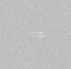Линолеум Forbo Sphera Element 50008 silver grey фото 1 | FLOORDEALER
